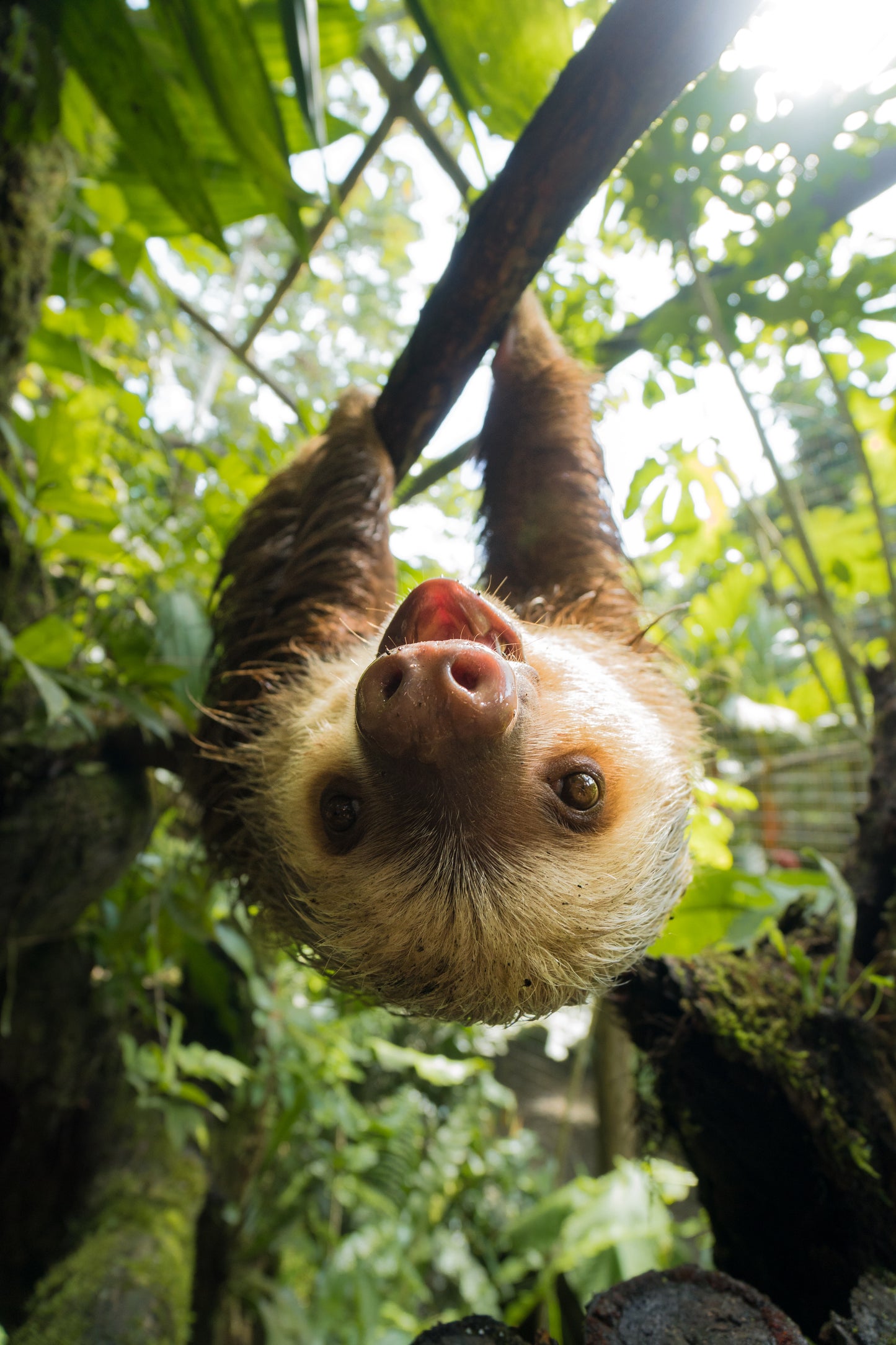 Hangin Around (2018)