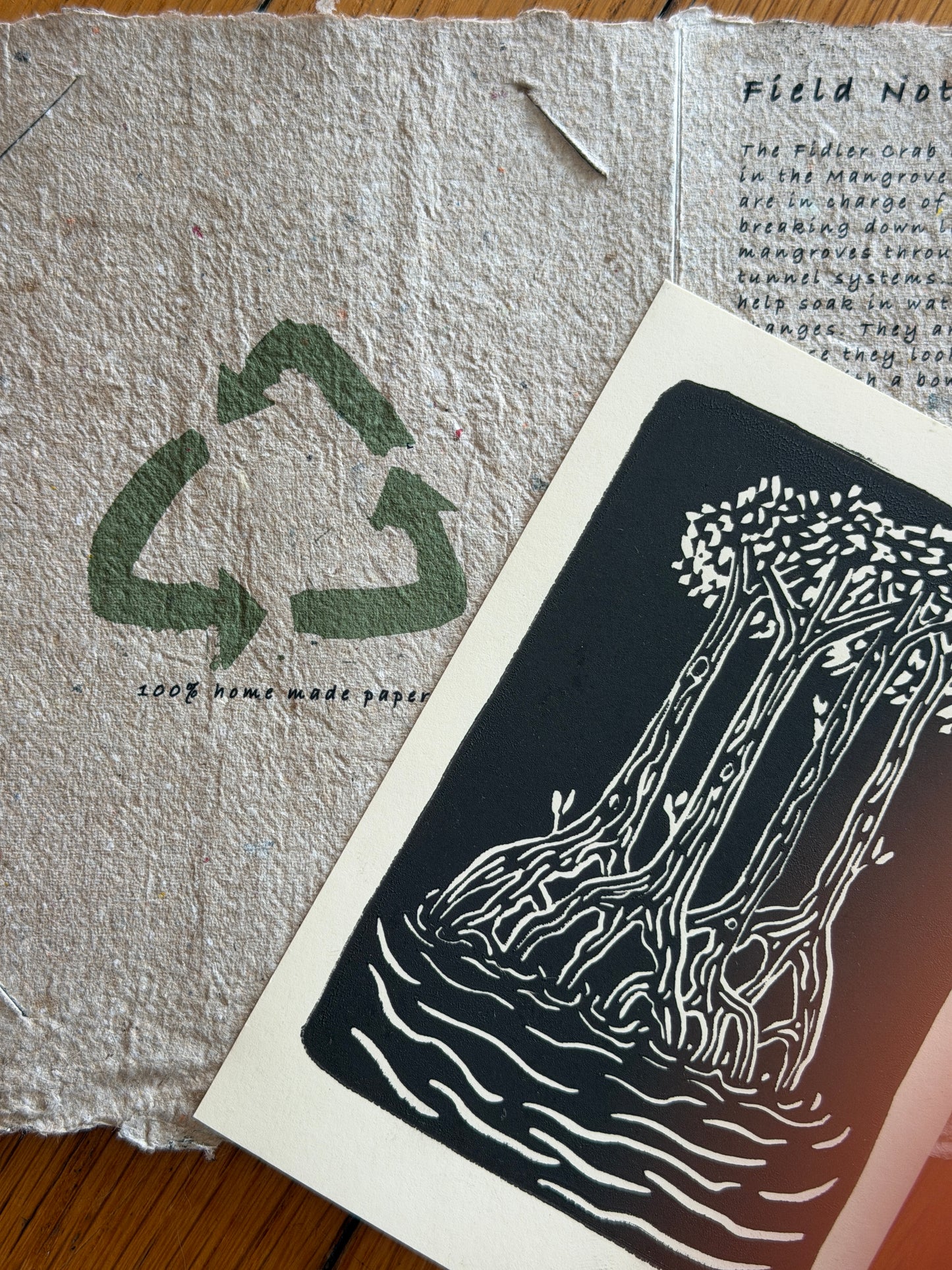 Shady Mail Series (Subscription)