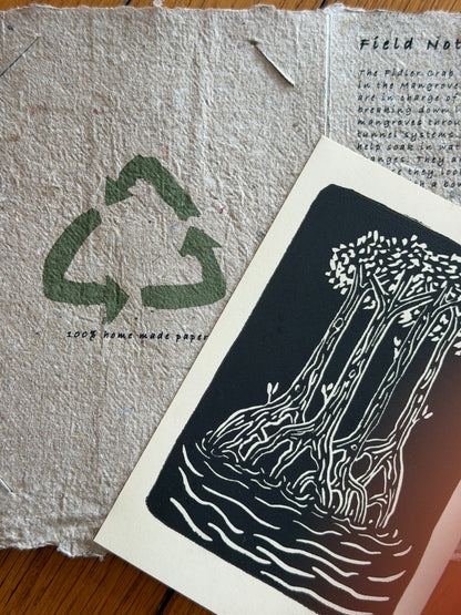 Shady Mail Series (Subscription)