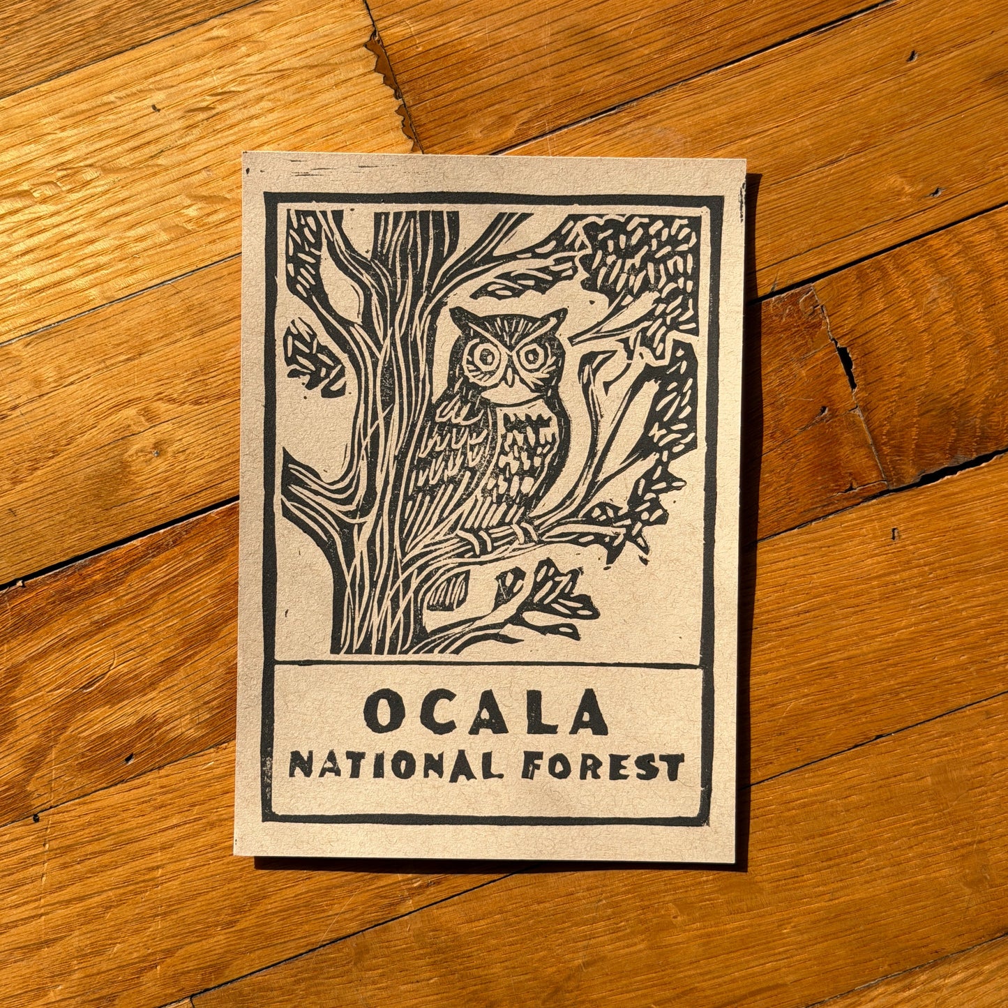 Biscayne Print Club : October Print