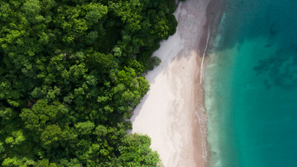 La Playa (2021)