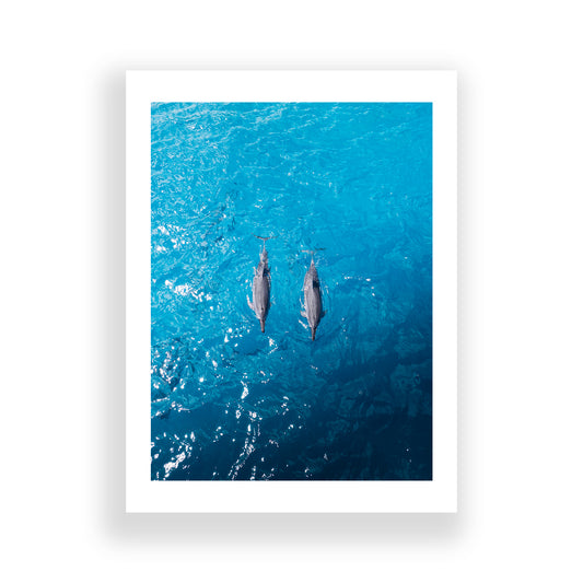 Waimea