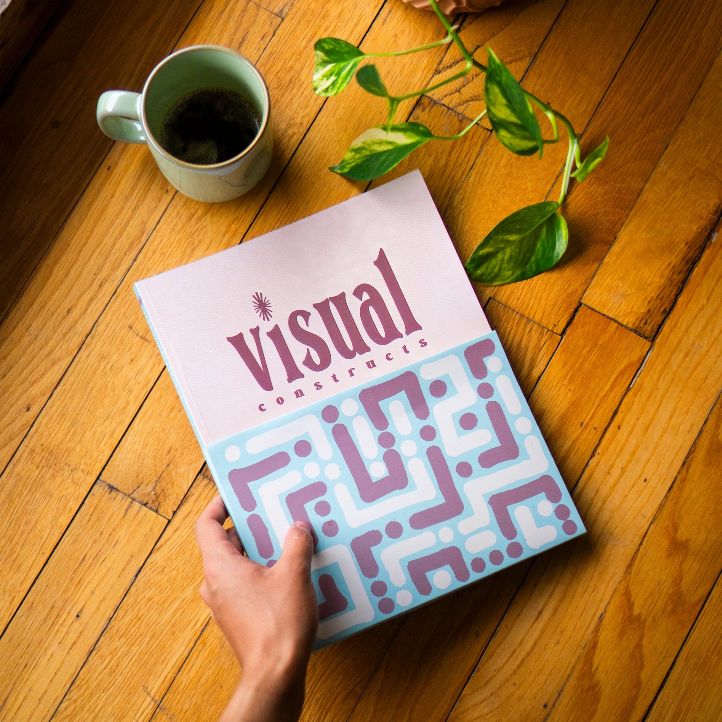 Visual Constructs Book